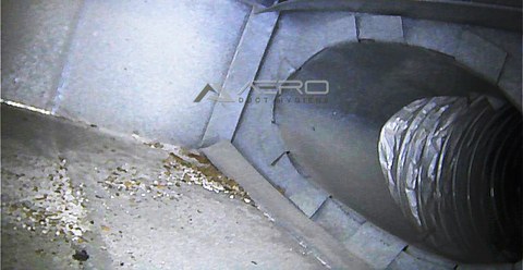Debris gathered where a flexible duct meets the main supply duct